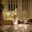 LED Christmas Light String - Homura Collections
