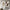 Decorative Mural Painting - Homura Collections